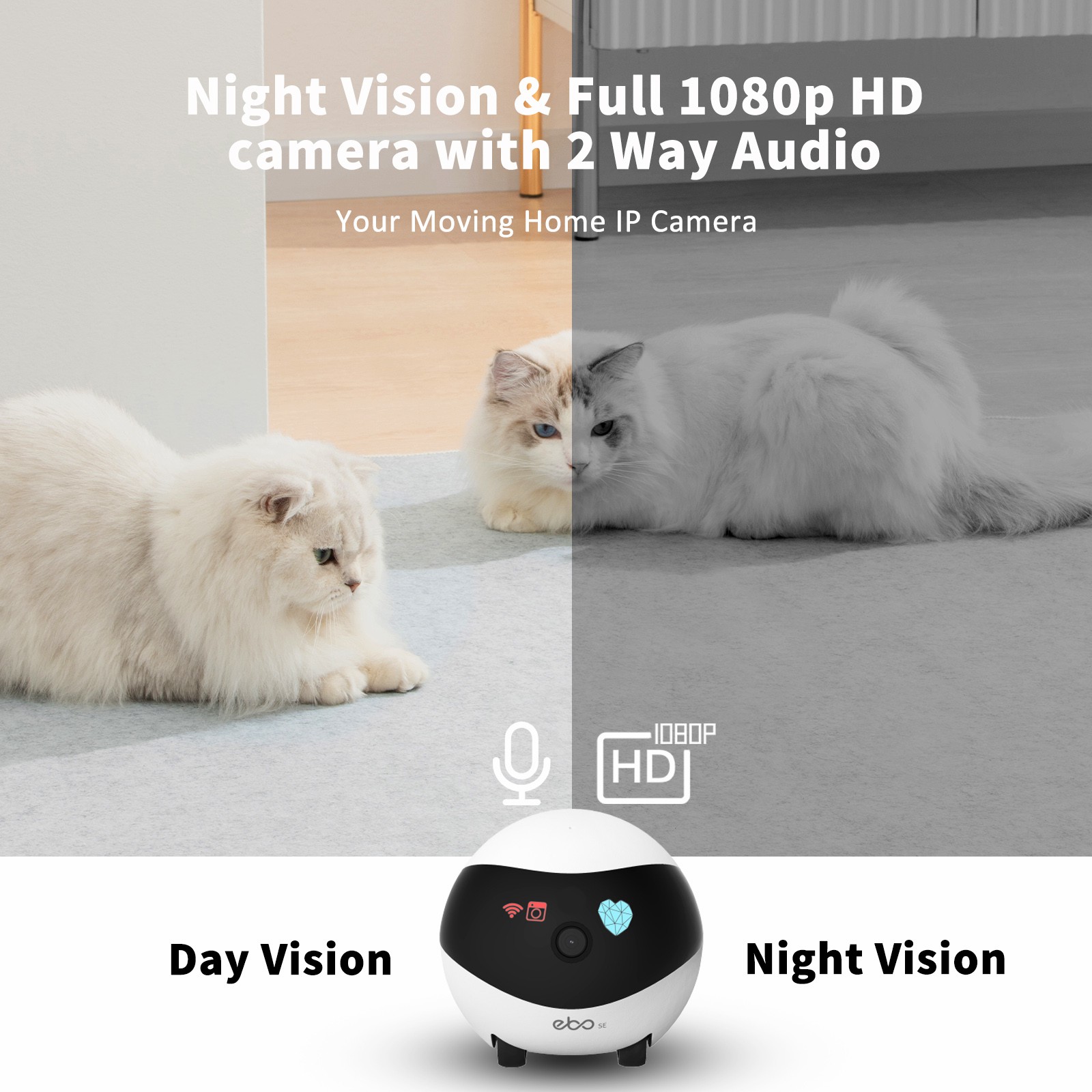 EBO SE Smart Home Robot Compan - Home Security Robot avaliação e preço
