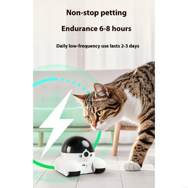Câmera estimação rotativa 360  - Home Security Training avaliação e preço